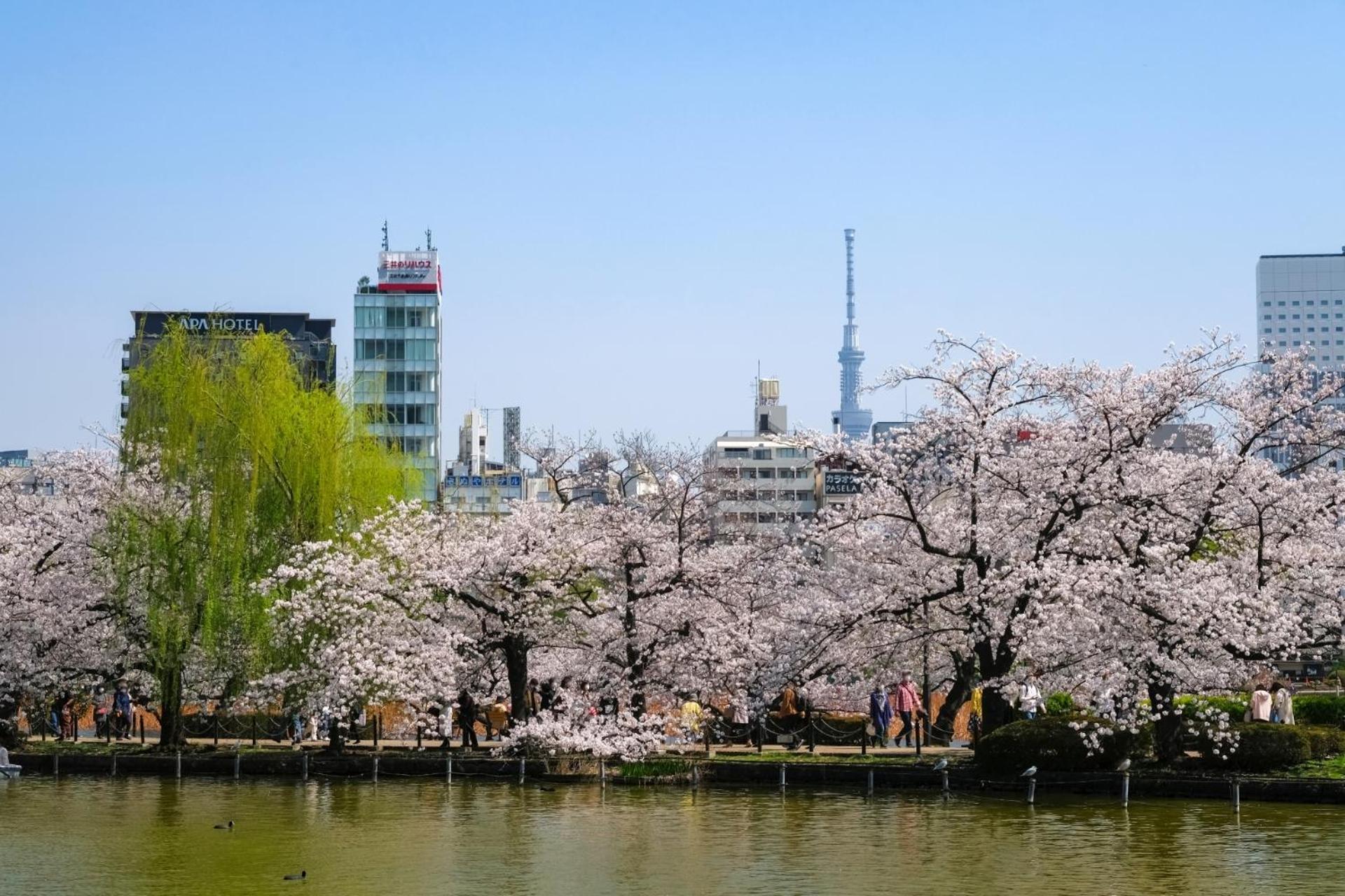 Stayme The Hotel Ueno Токио Екстериор снимка
